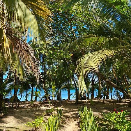 Drago Beach House - Private Beach Boca del Drago Ngoại thất bức ảnh