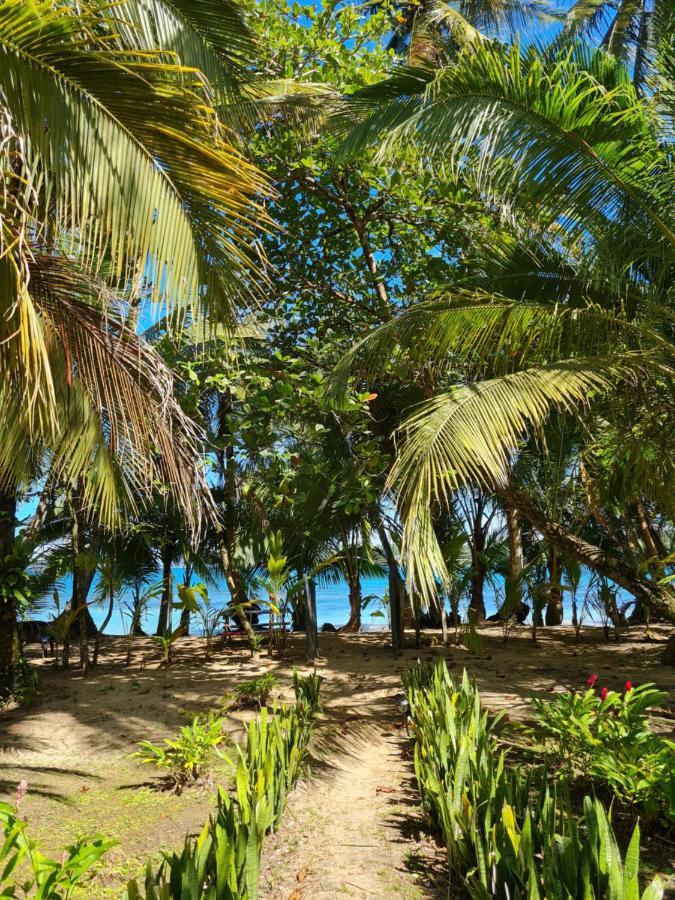 Drago Beach House - Private Beach Boca del Drago Ngoại thất bức ảnh