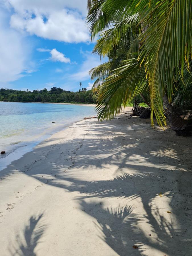 Drago Beach House - Private Beach Boca del Drago Ngoại thất bức ảnh