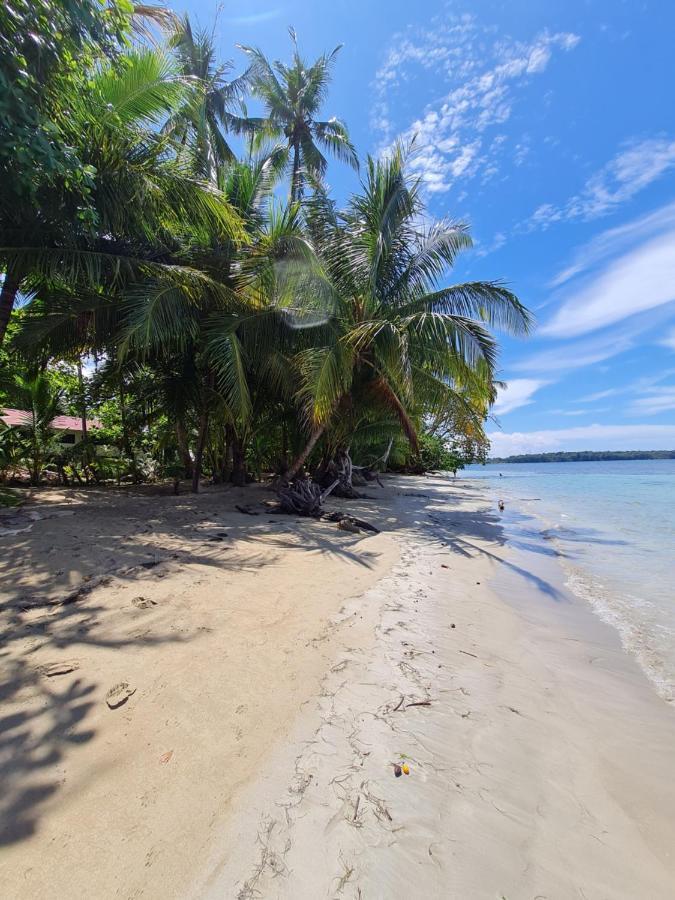 Drago Beach House - Private Beach Boca del Drago Ngoại thất bức ảnh