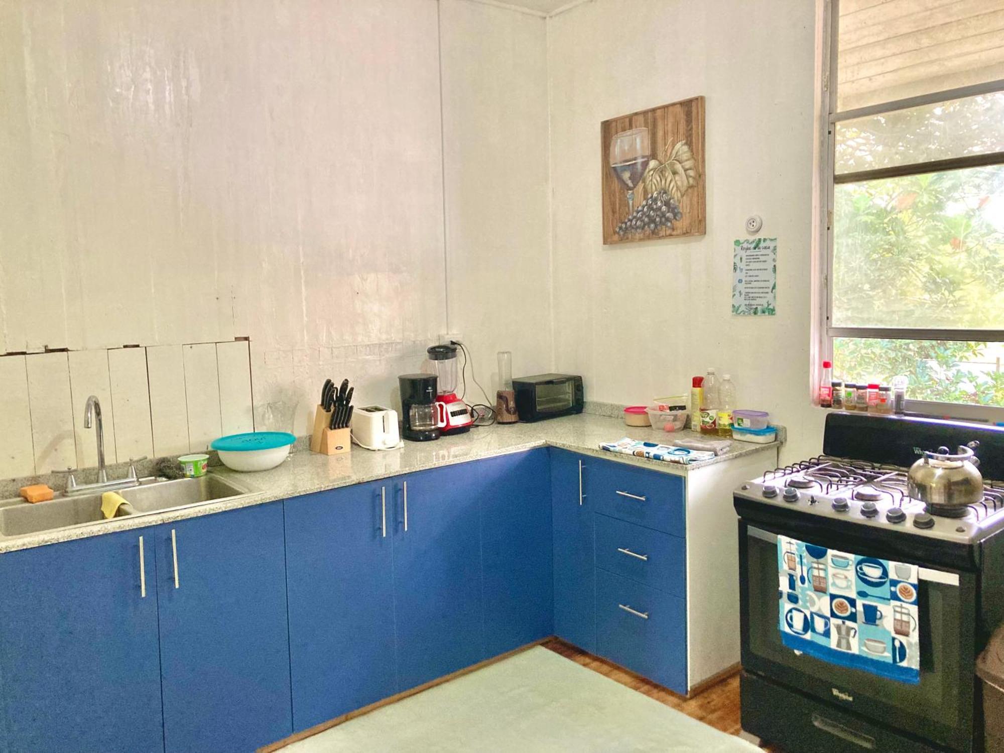 Drago Beach House - Private Beach Boca del Drago Ngoại thất bức ảnh