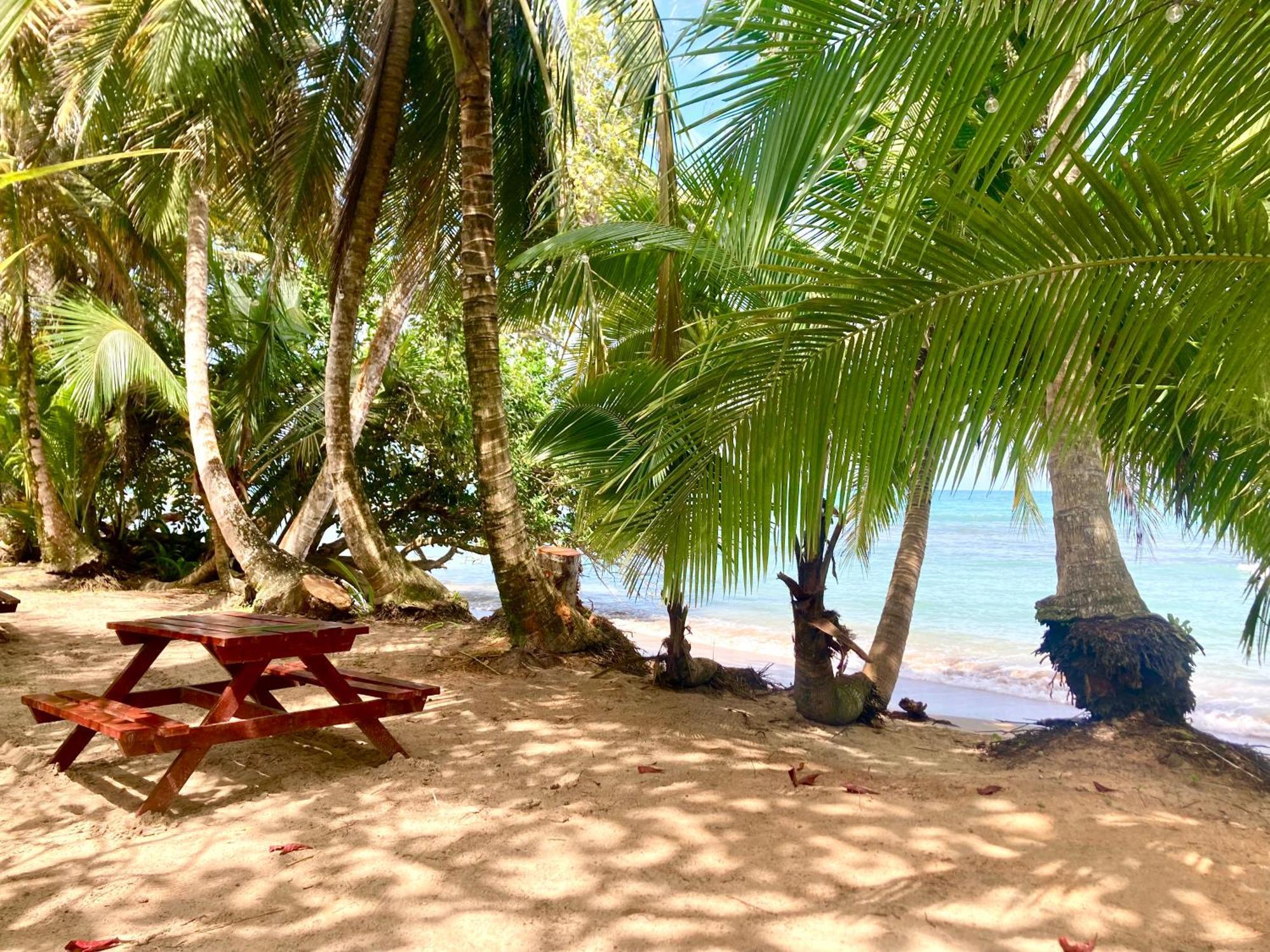 Drago Beach House - Private Beach Boca del Drago Ngoại thất bức ảnh