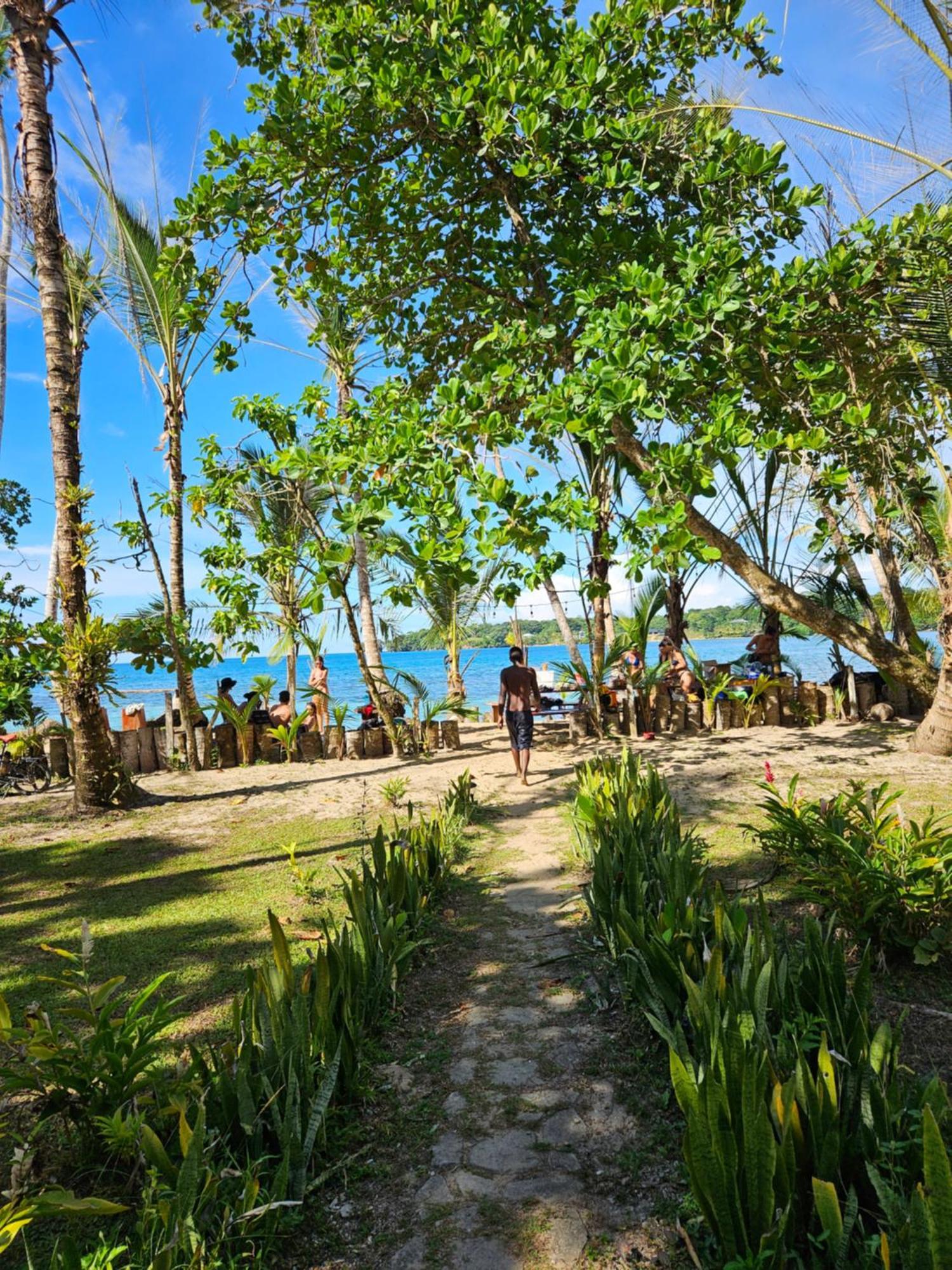 Drago Beach House - Private Beach Boca del Drago Ngoại thất bức ảnh
