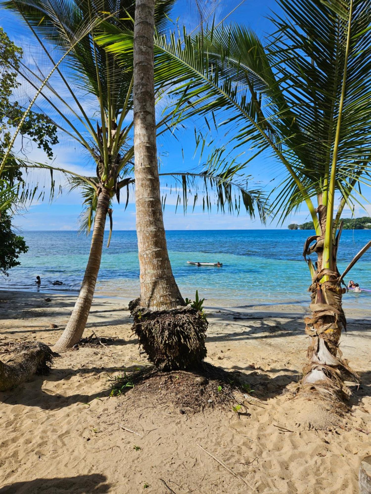 Drago Beach House - Private Beach Boca del Drago Ngoại thất bức ảnh