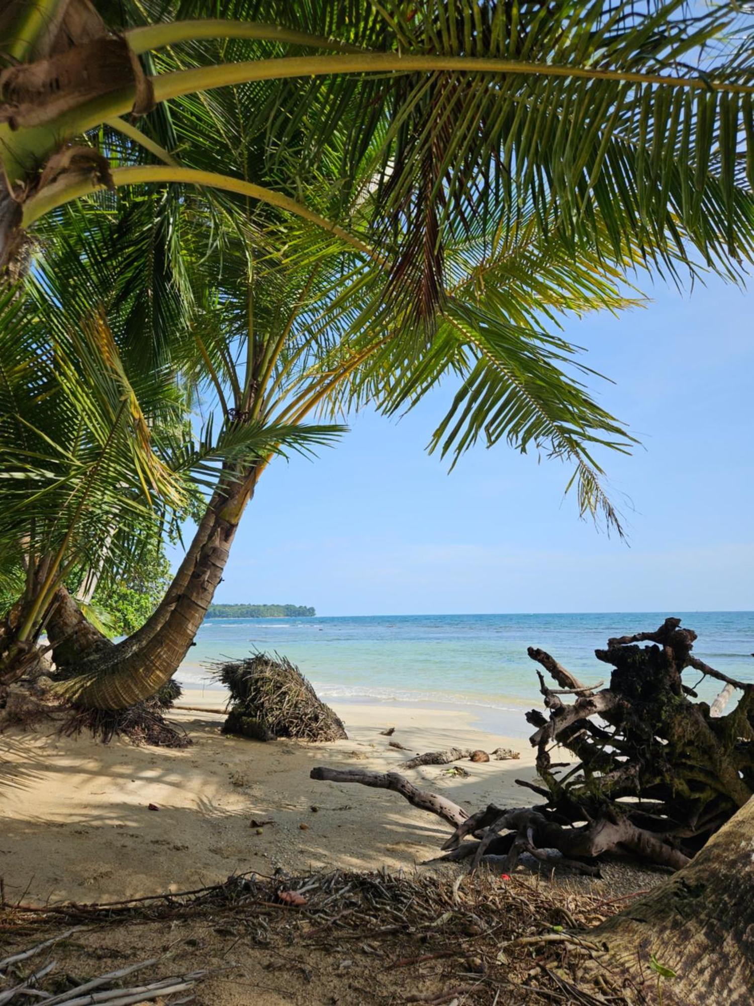 Drago Beach House - Private Beach Boca del Drago Ngoại thất bức ảnh