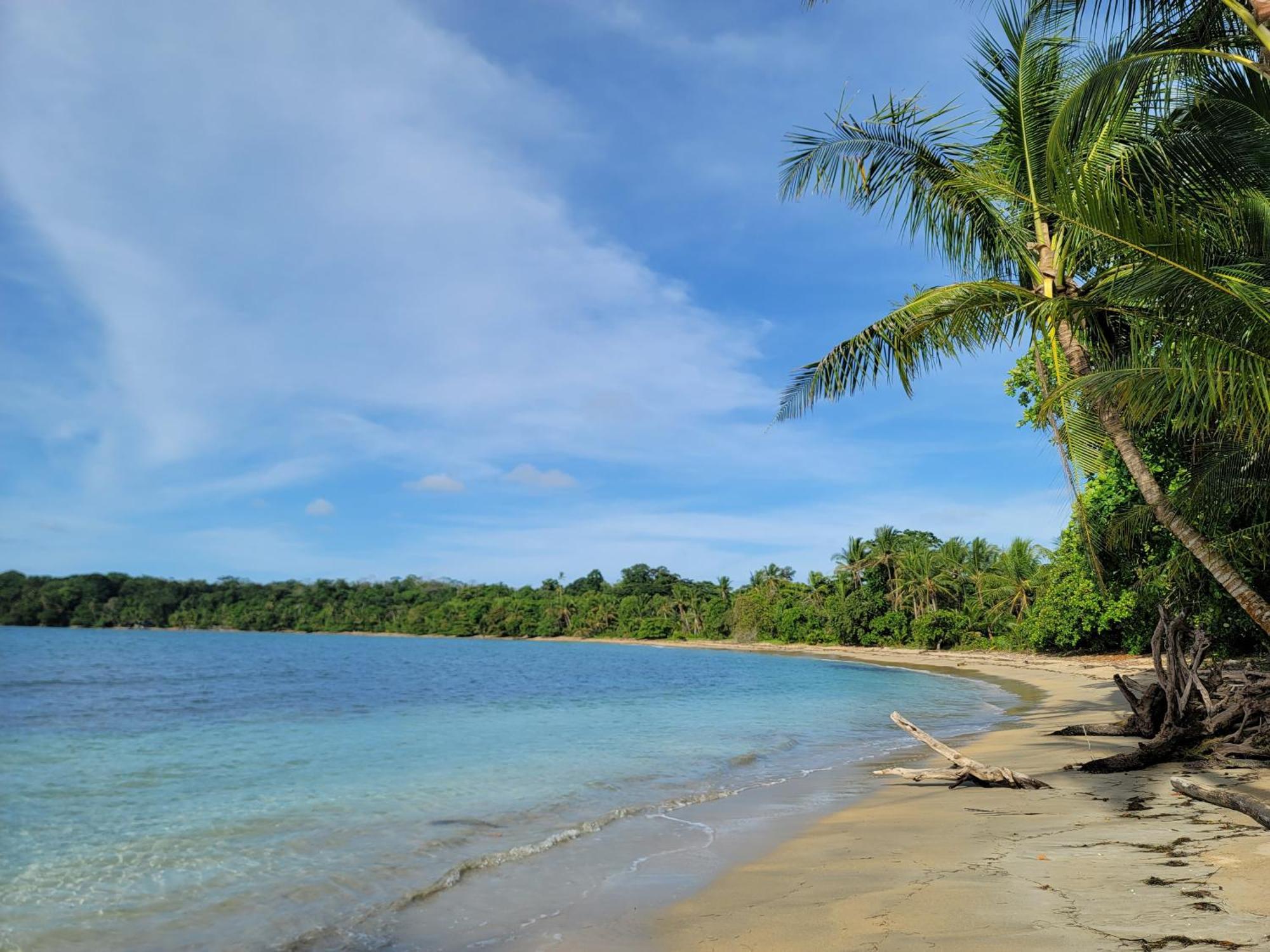 Drago Beach House - Private Beach Boca del Drago Ngoại thất bức ảnh