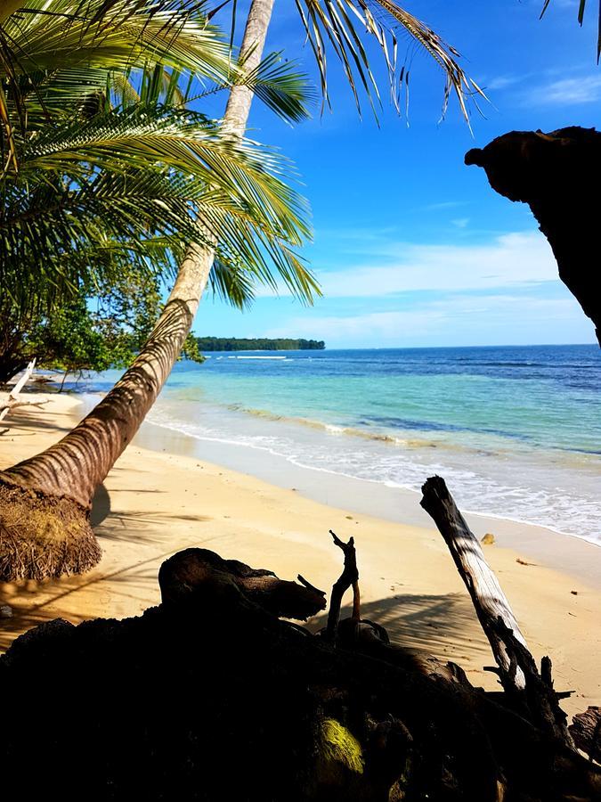 Drago Beach House - Private Beach Boca del Drago Ngoại thất bức ảnh